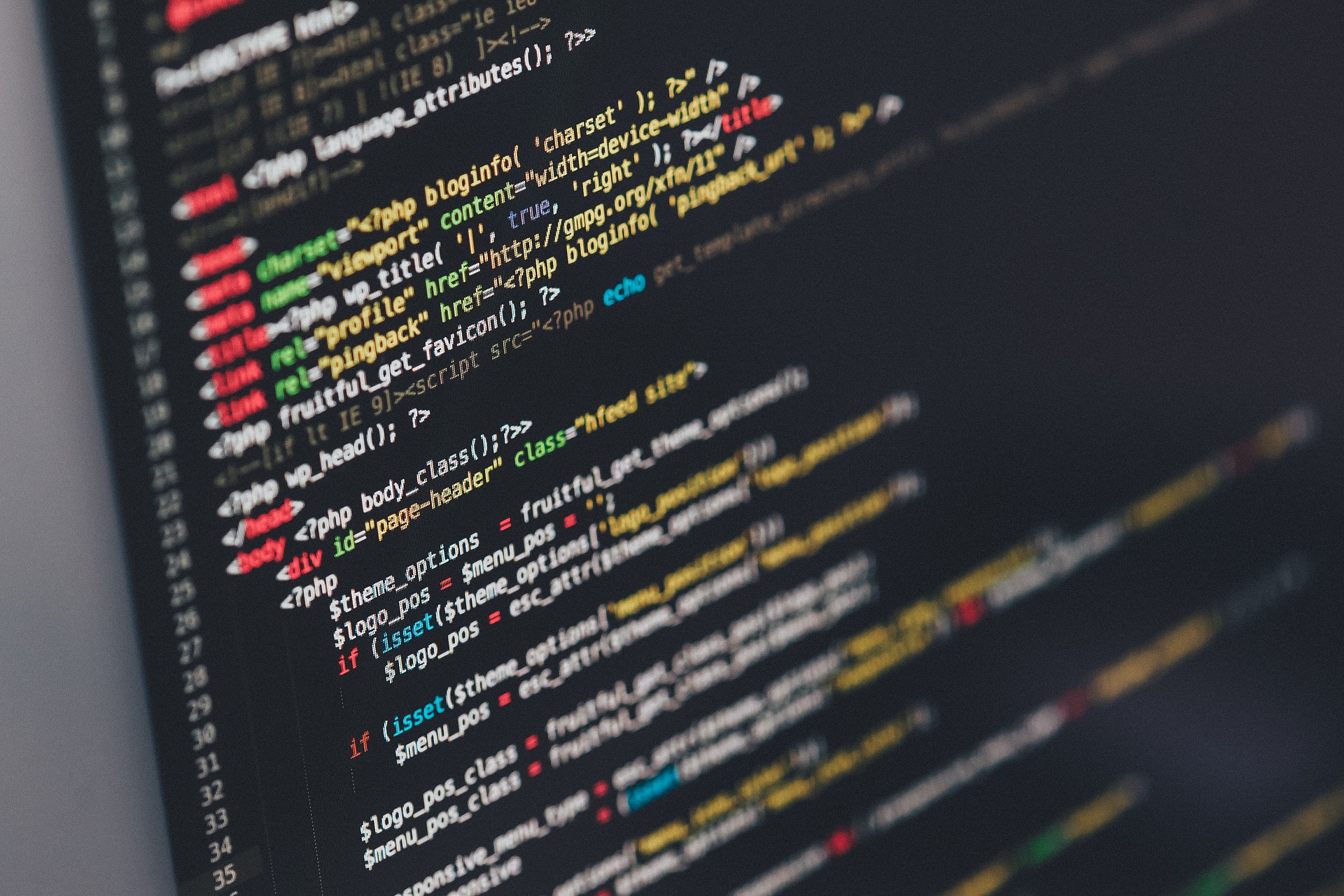 Marta Software Entwicklung